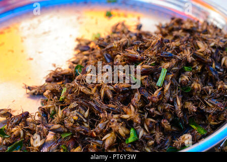 Fried grasshoppers sold at street markets in Bangkok Stock Photo