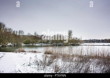 Landscape of snowy Staffordshire,uk.Snow covering Westport lake shore on cold winter day.Winter wonderland scenery on british countryside.Nature,Uk. Stock Photo