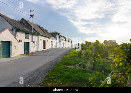 Wildendürnbach: Kellergasse (cellar lane) with Presshaus Presshäuser (press house) at hill Galgenberg, vineyard, wine in Weinviertel, Niederösterreich Stock Photo