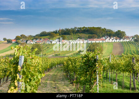 Wildendürnbach: Kellergasse (cellar lane) with Presshaus Presshäuser (press house) at hill Galgenberg, vineyard, wine in Weinviertel, Niederösterreich Stock Photo