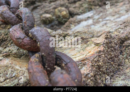 Old and rusty mooring chains. Metaphor strong links, strongest link, forge links, close ties. Stock Photo