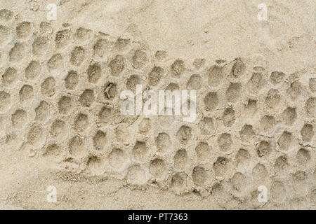Tyre tracks in sand. Stock Photo