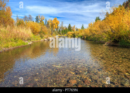 upper blackfoot river in autumn near lincoln, montana Stock Photo - Alamy