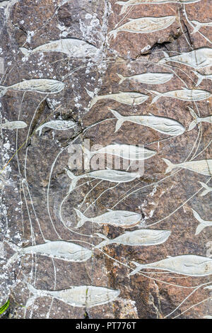 Fish carvings as part of the Stone & Man Sculptures, Qaqortoq, Greenland Stock Photo