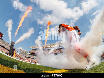 Cincinnati, Ohio, USA. 07th Oct, 2018. Miami Dolphins fans cheer after a  touchdown in a game between the Miami Dolphins and the Cincinnati Bengals  at Paul Brown Stadium in Cincinnati, Ohio. Adam