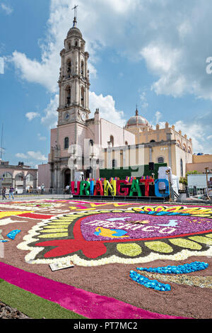 A giant football field size floral carpet decorates the town square in front of the Parroquia San Miguel Archangel church in the central Mexican town of Uriangato, Guanajuato. Every year residents create giant floral carpets made from colored sawdust and decorated with flowers during the 8th Night Celebration marking the end of the Feast of St Michael. Uriangato became an international sensation after wowing Brussels with their floral carpet displayed at the Brussels Grand-Place during the Belgium Floral Carpet festival. Stock Photo