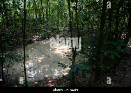 Bomb crater, Củ Chi tunnels, Ho Chi Minh City, Viet Nam Stock Photo