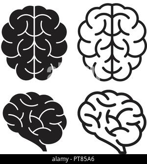 vector human brain icons isolated on white background for psychology health illustrations. thin line brain gyrus design Stock Vector