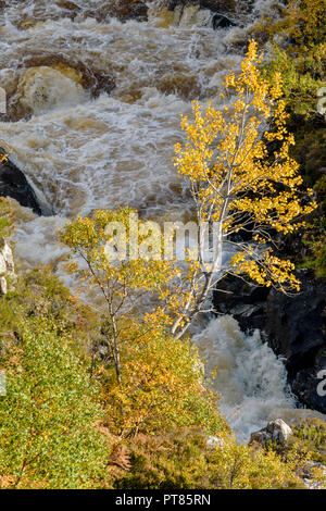 SUILVEN AND RIVER KIRKAIG SUTHERLAND SCOTLAND THE WATERFALL OR FALLS OF KIRKAIG IN AUTUMN AND YELLOW LEAVES OF THE ASPEN TREE Stock Photo