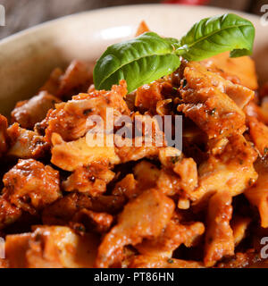 Chicken gyros with hot pepper spices Stock Photo