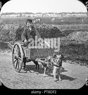 Early 20th century photograph showing a smiling young boy in a small cart being pulled by a small dog with a harness. Stock Photo