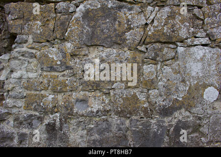Old gray deteriorating medieval stone wall background with discoloration from lichens and moss Stock Photo