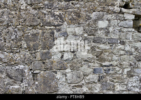 Old gray deteriorating medieval stone wall background with discoloration from lichens and moss Stock Photo