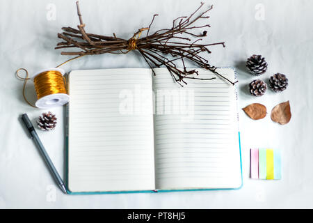 Flat lay out of an open journal notebook and pen to show the concept of coping with home quarantine and working from home due to covid-19 outbreak Stock Photo