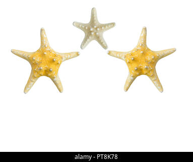 dried starfish isolated on a white background Stock Photo