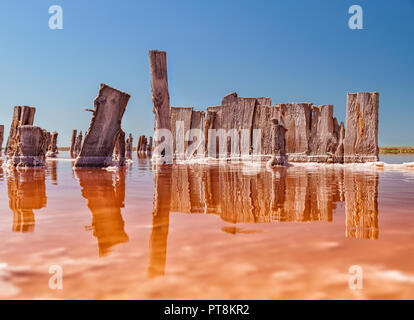 Mushroom-shaped salt formation in the Lake. Water of this lake is heavily saturated with salt and has a bright pink color. Stock Photo