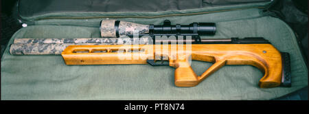 Pneumatic rifle with an optical sight Stock Photo