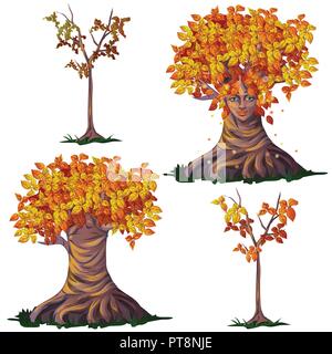 Set fantasy of deciduous trees in the fall isolated on white background. Vector cartoon close-up illustration. Stock Vector