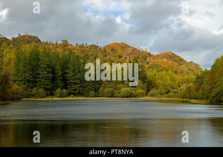 Yew Tree Tarn near Coniston Lake District National Park in Cumbria North West England Stock Photo