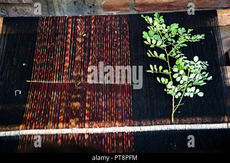 Weaving with cotton plants in Village on Pulau Lembata, Indonesia Stock Photo