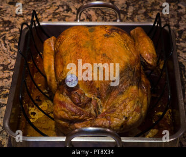 https://l450v.alamy.com/450v/pt8x34/turkey-with-thermometer-pt8x34.jpg