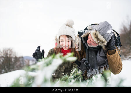 Grandfather and small girl getting a Christmas tree in forest. Stock Photo