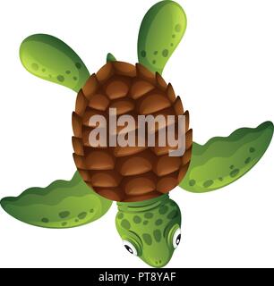 A green sea turtle on white background illustration Stock Vector
