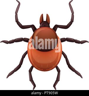 A mite tick on white background illustration Stock Vector