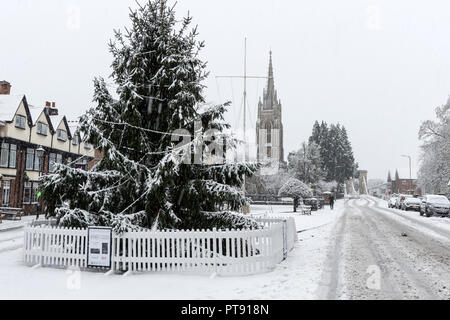 Snowfall on a Christmas tree and nearby All Saints Parish Church and the suspension bridge at Marlow in Buckinghamshire, Britain Stock Photo