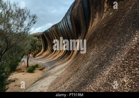 Wave Rock in Hyden a sacred place for the Aborigines in Australia, Western Australia. Stock Photo