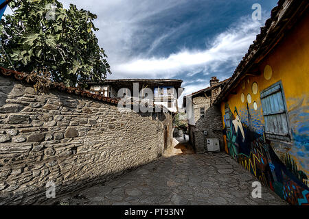 Birgi, hidden in a green geography on the cool slopes of Bozdağlar, can be seen from centuries-old plane trees and walnut trees with high stone walls, Stock Photo