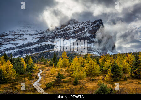 Mount Assiniboine Provincial Park is a provincial park in British Columbia, Canada, located around Mount Assiniboine. Stock Photo