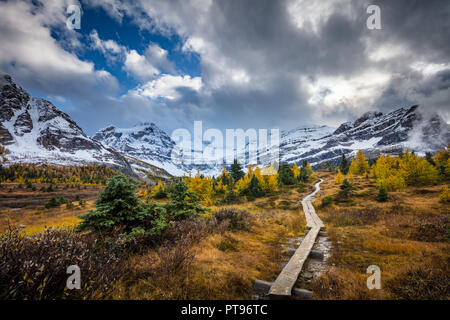 Mount Assiniboine Provincial Park is a provincial park in British Columbia, Canada, located around Mount Assiniboine. Stock Photo