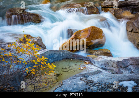 Nigel Creek is a short stream located in the Canadian Rockies of Alberta, Canada. Stock Photo