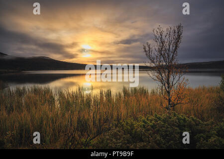 Sunrise time by the Hjerkinnsdammen lake in Dovrefjell-Sunndalsfjella nasional park. Norwegian autumn. Stock Photo
