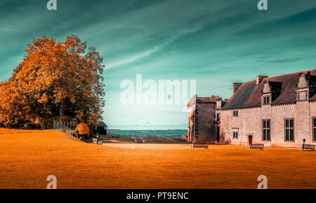 A large tree and an old building against a teal sky sitting on orange grass in Autumn weather.