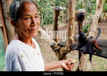 Macedonia, Amazonia / Colombia - MAR 15 2016: local ticuna tribe member lady feeding pet monkeys with bananas in the rainforest jungle village Stock Photo
