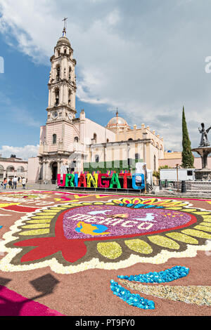 A giant football field size floral carpet decorates the town square in front of the Parroquia San Miguel Archangel church in the central Mexican town of Uriangato, Guanajuato. Every year residents create giant floral carpets made from colored sawdust and decorated with flowers during the 8th Night Celebration marking the end of the Feast of St Michael. Uriangato became an international sensation after wowing Brussels with their floral carpet displayed at the Brussels Grand-Place during the Belgium Floral Carpet festival. Stock Photo