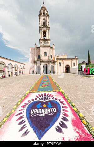 A giant football field size floral tapestry decorates the town square in front of the Parroquia San Miguel Archangel church in the central Mexican town of Uriangato, Guanajuato. Every year residents create giant floral carpets made from colored sawdust and decorated with flowers during the 8th Night Celebration marking the end of the Feast of St Michael. Uriangato became an international sensation after wowing Brussels with their floral carpet displayed at the Brussels Grand-Place during the Belgium Floral Carpet festival. Stock Photo