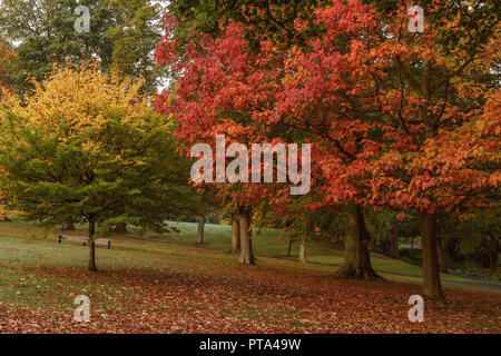 Wonderful Autumnal colours in Lister Park, Bradford, home of the amazing Cartwright Hall where a young David Hockney used to visit Stock Photo