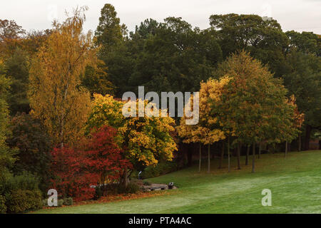 Wonderful Autumnal colours in Lister Park, Bradford, home of the amazing Cartwright Hall where a young David Hockney used to visit Stock Photo