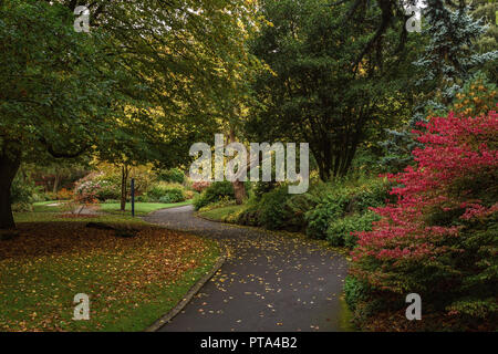 Wonderful Autumnal colours in Lister Park, Bradford, home of the amazing Cartwright Hall where a young David Hockney used to visit Stock Photo