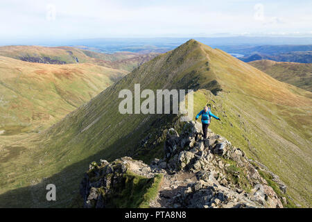 Walker on Swirral Edge with Catstye Cam Behind, Helvellyn, Lake District, Cumbria, UK. Stock Photo