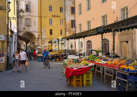 fruit and vegetable market by piazza delle vettovaglie, Pisa,Tuscany,Italy,Europe Stock Photo