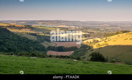 Dawn light falls on the wide agricultural valley of the Blackmore Vale under the rolling hills of the Dorset Downs and Cranborne Chase in England. Stock Photo