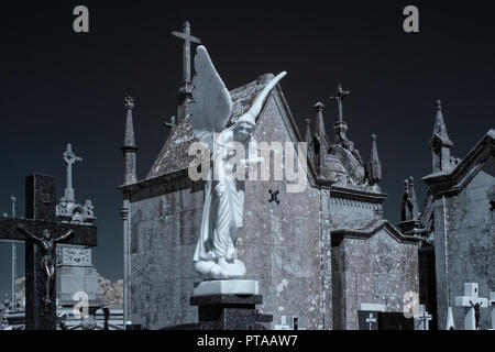 Old european cemetery with a white marble angel in the foreground. Used infrared filter. Stock Photo