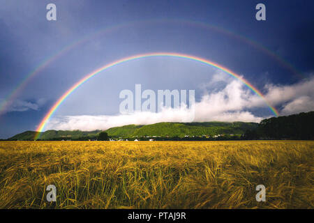 Fantastic double rainbow above fields in Ranheim, Norway Stock Photo