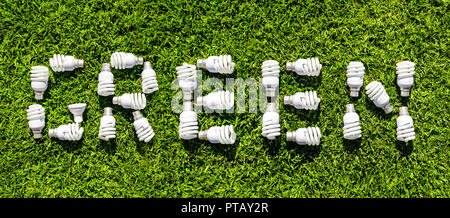 Energy efficient light bulbs on grass. Green source of energy concept Stock Photo