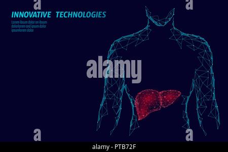 Human Liver hepatitis treatment medicine business concept. Disease prevention health care medical centre doctor online diagnosis low poly 3D render poligonal point line vector illustration Stock Vector