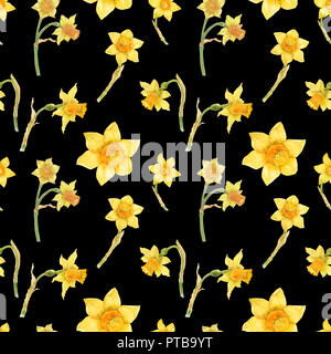 Watercolor botanical realistic floral pattern with narcissus. Bright yellow daffodil on a black background, path included